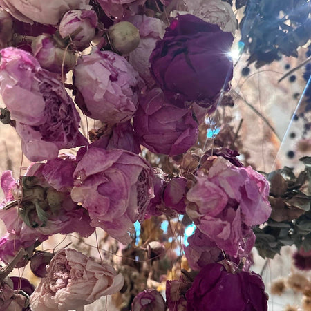 Flowers at the Saatchi Gallery