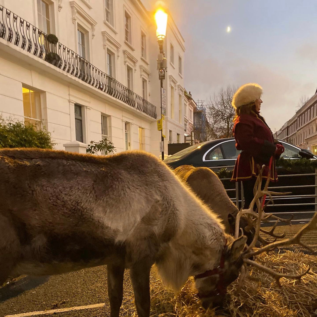 A Magical Evening...