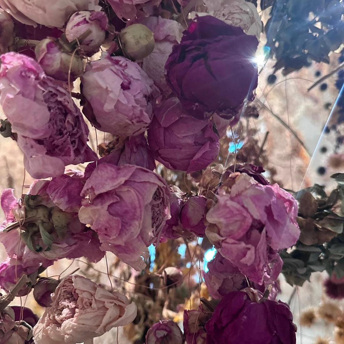 Flowers at the Saatchi Gallery